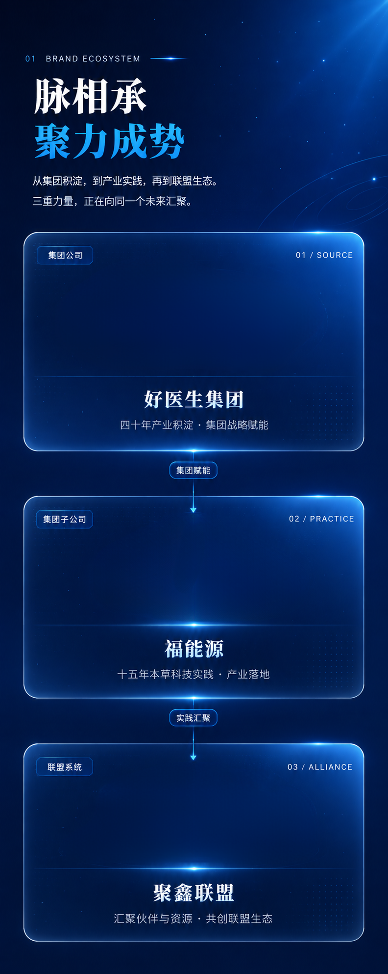 一脉相承，聚力成势：集团公司、集团子公司和联盟系统三层品牌关系